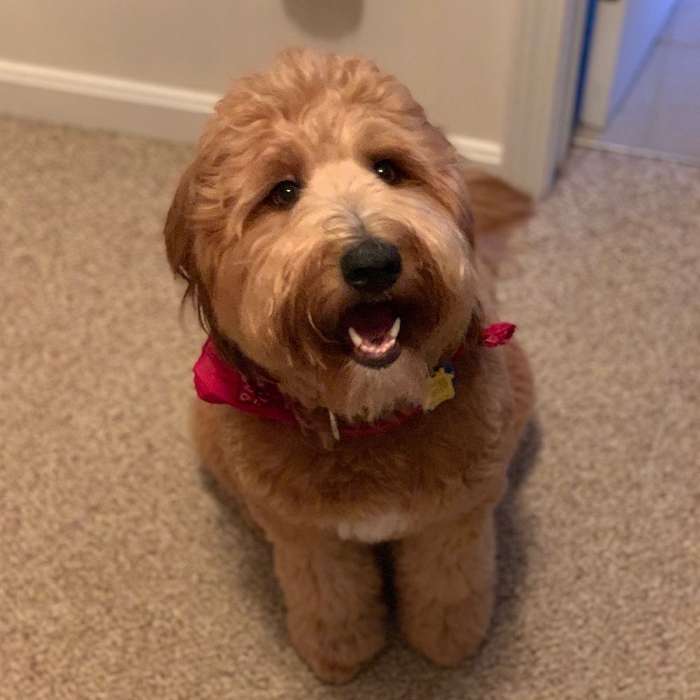 Meet your Posher, Jill